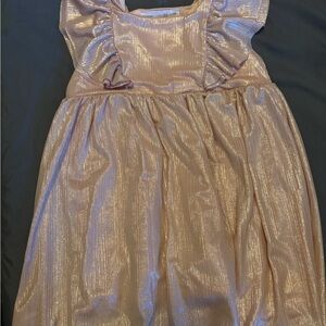 Zara Shimmering Pink Top